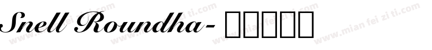 Snell Roundha字体转换